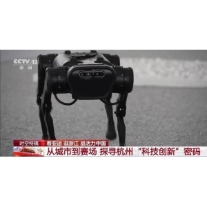 亚运赛场的机器狗“立大功”！你知道背后的故事吗？